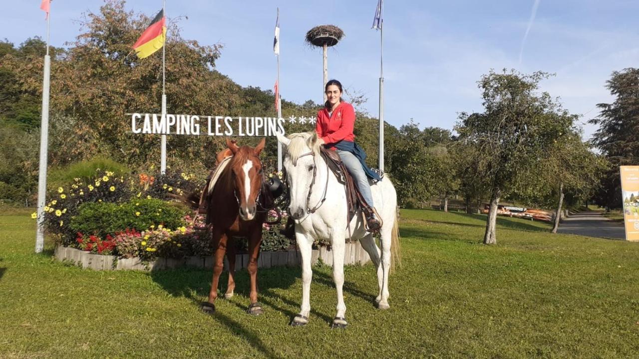 Camping Les Lupins Seppois-le-Bas Exterior foto